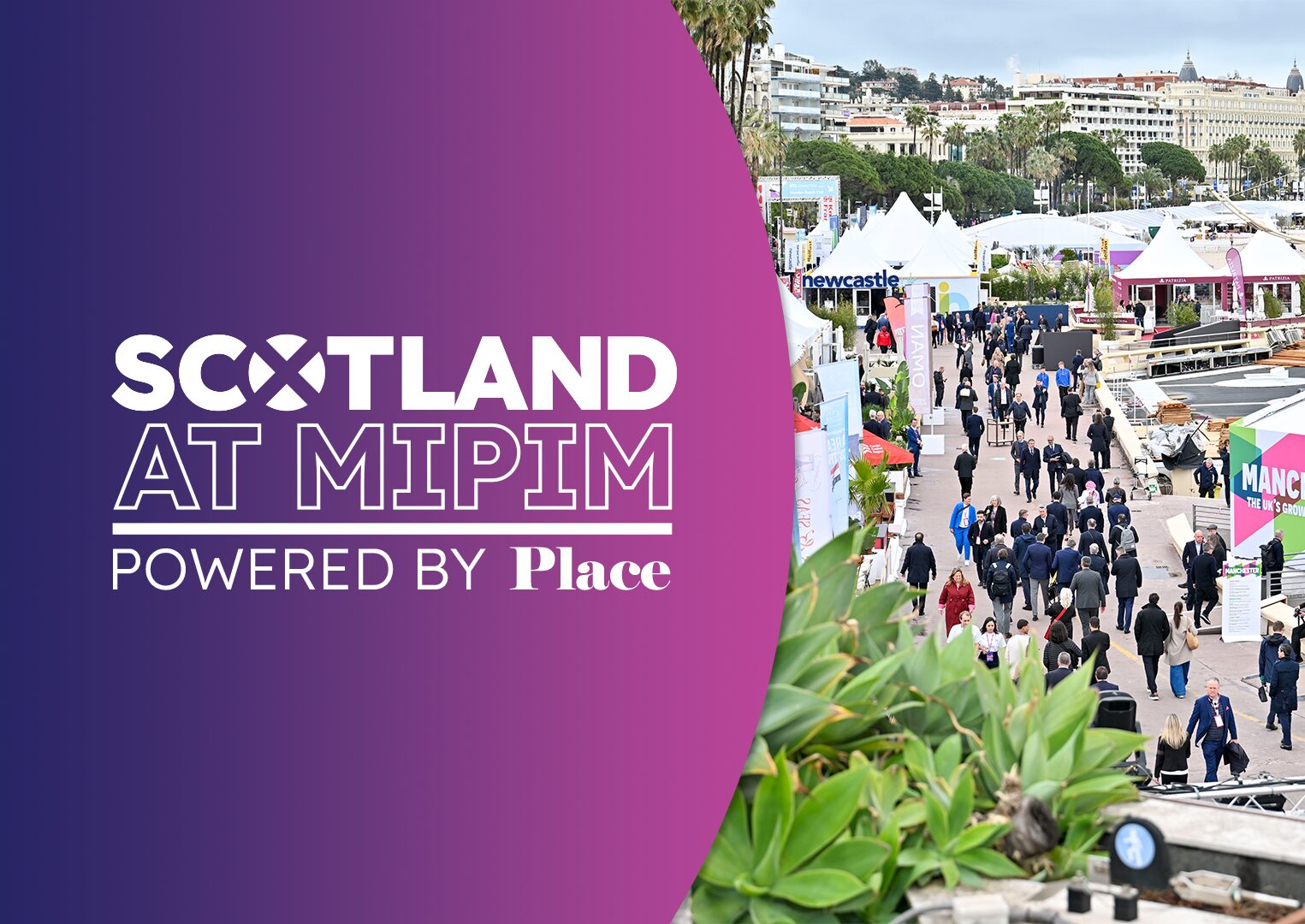 Scotland at MIPIM lead image.